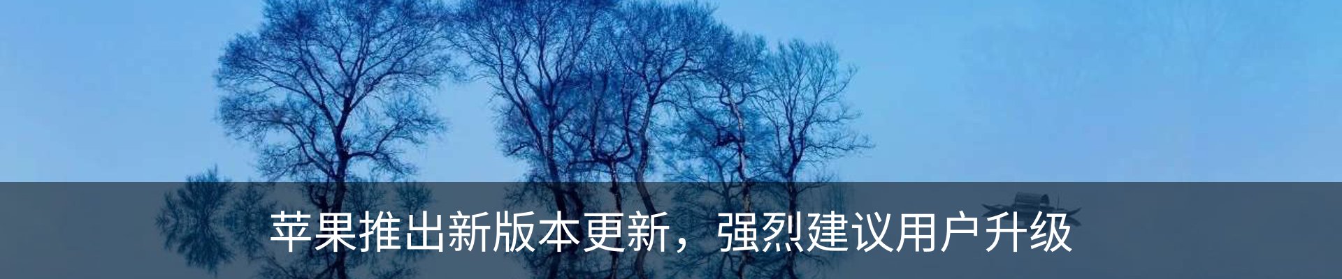资讯动态
